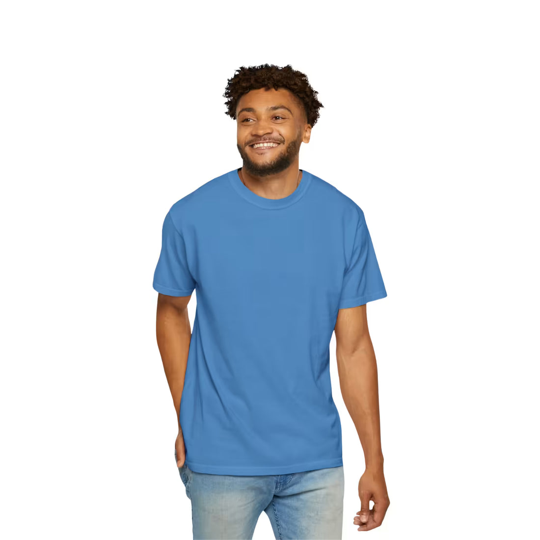 Royal Caribe Comfort Colors 1717 Bitcoin T-shirt front model view promoting an educational message about Bitcoin